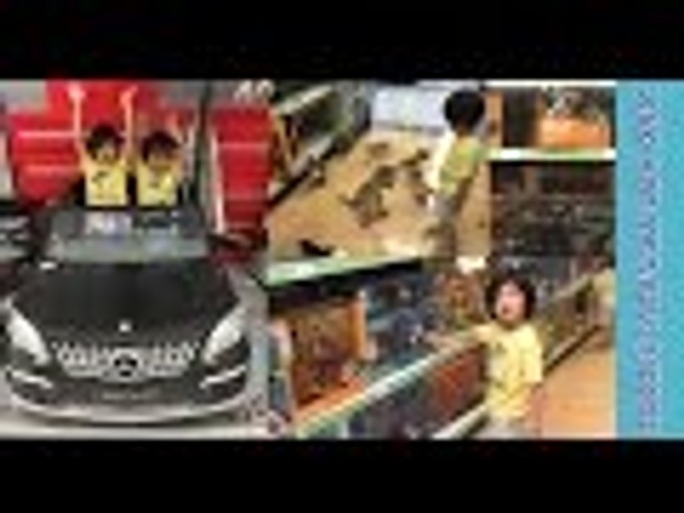 Toy Shopping at Toys R Us | Animal Planet Ninja Turtles Superheroes Cars | Liam and Taylor's Corner