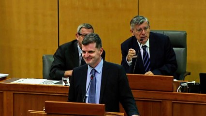 Reiner: "Poslovnik nikada ne kršim osim danas, ali svjesno!"