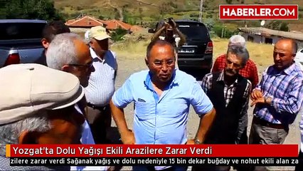 Yozgat'ta Dolu Yağışı Ekili Arazilere Zarar Verdi
