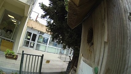 Les mésanges du Centre International de Valbonne en mode "slomo"