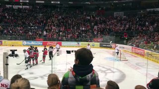 26 dec 2015 Kölner Haie - Ice Tigers