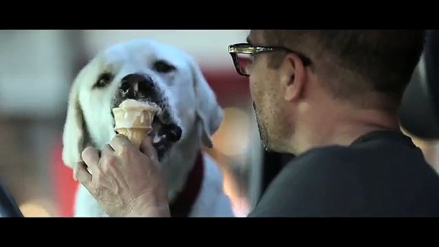 Un Uomo Trova Un Cucciolo Vicino Al Fiume... Quello Che Segue Ti Farà Scendere Una Lacrima