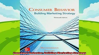 there is  Consumer Behavior Building Marketing Strategy