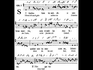 Graduale Si ambulem, Dominica XVI TpA (16è TO)