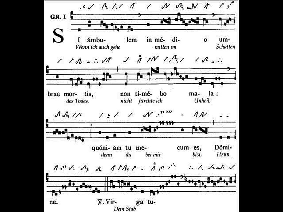 Graduale Si ambulem, Dominica XVI TpA (16è TO)