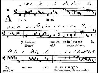 Alleluia Eripe me, Dominica XVI TpA (16è TO)