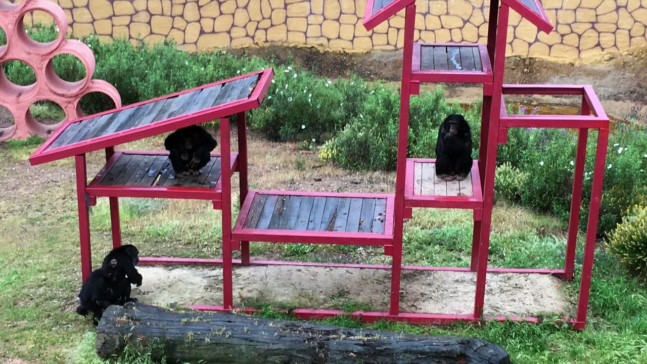 Voyage en ESPAGNE - Mai 2016