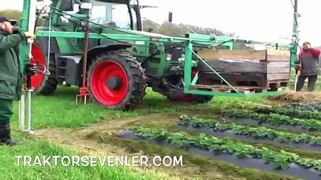 adamlar olayı aşmış bir günde sera kuruyorlar