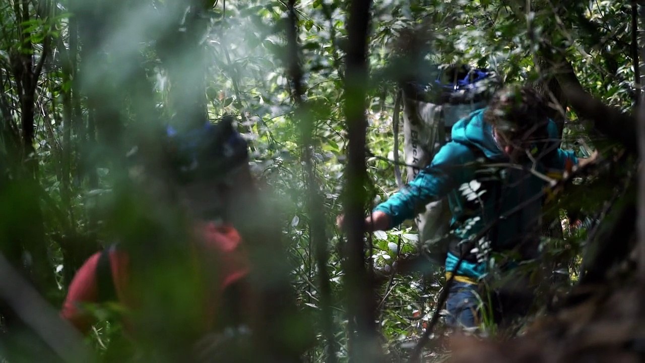 A Song for Tomorrow - Rock Climbing in Qingfeng Valley (CHN) - Video Dailymotion