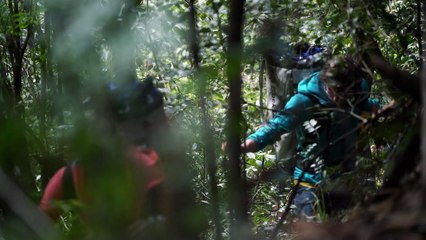 A Song for Tomorrow - Rock Climbing in Qingfeng Valley (CHN) - Video Dailymotion