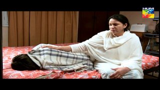 Zara Yaad Kar Episode 16 - Full HD Hum TV Drama - 28 June 2016 - Halala wali Qist