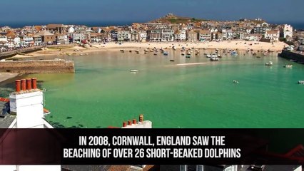 10 Most Mysterious Things That Can Not Be Explained!