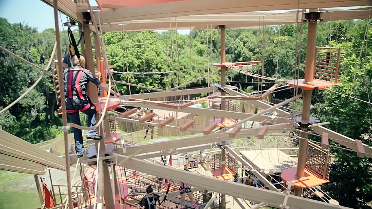 Go Wild at Audubon Zoo in New Orleans