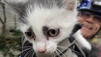 Animal Rescues That Will Have You Purring With Delight