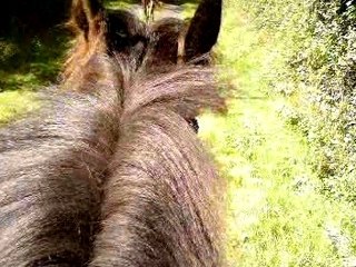 Pédro balade du 13 Juillet