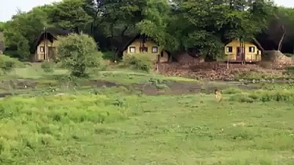 Outside the laws of nature