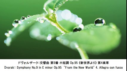 梅雨のジメジメを吹き飛ばすクラシック名曲集・The Rainy Season Classical Music Collection（長時間作業用BGM)