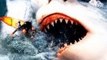 MEGALODON SHARKS - THE ULTIMATE PREDATORS! (BIGGEST SHARKS EVER)