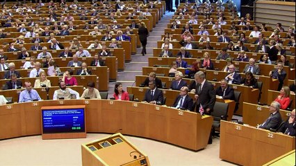 'You are not laughing at me now': Farage tells MEPs