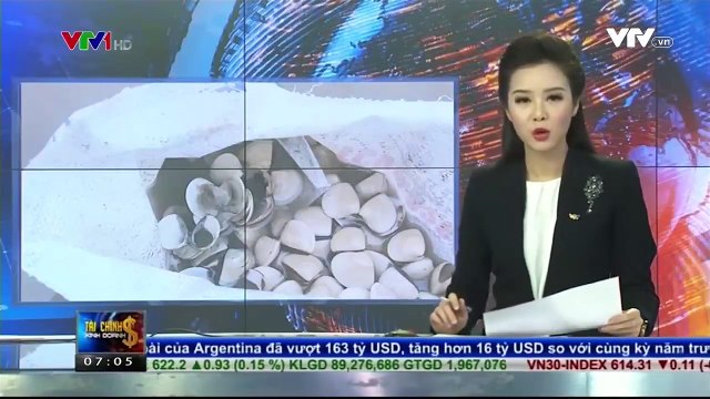 Bạc Liêu: Nghêu chết hàng, khẩn trương xét nghiệm bệnh phẩm, sớm tìm ra nguyên nhân.