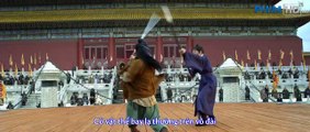 A Chinese martial arts