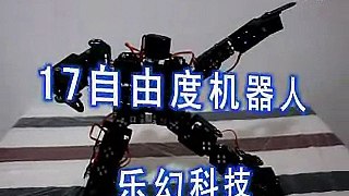 17 dof robot humanoid