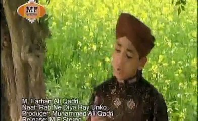 RAB nay Diya hy unko By (Farhan Ali Qadri)