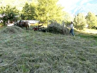 foins-a-montdenis-1