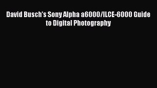 Download David Busch's Sony Alpha a6000/ILCE-6000 Guide to Digital Photography PDF Online