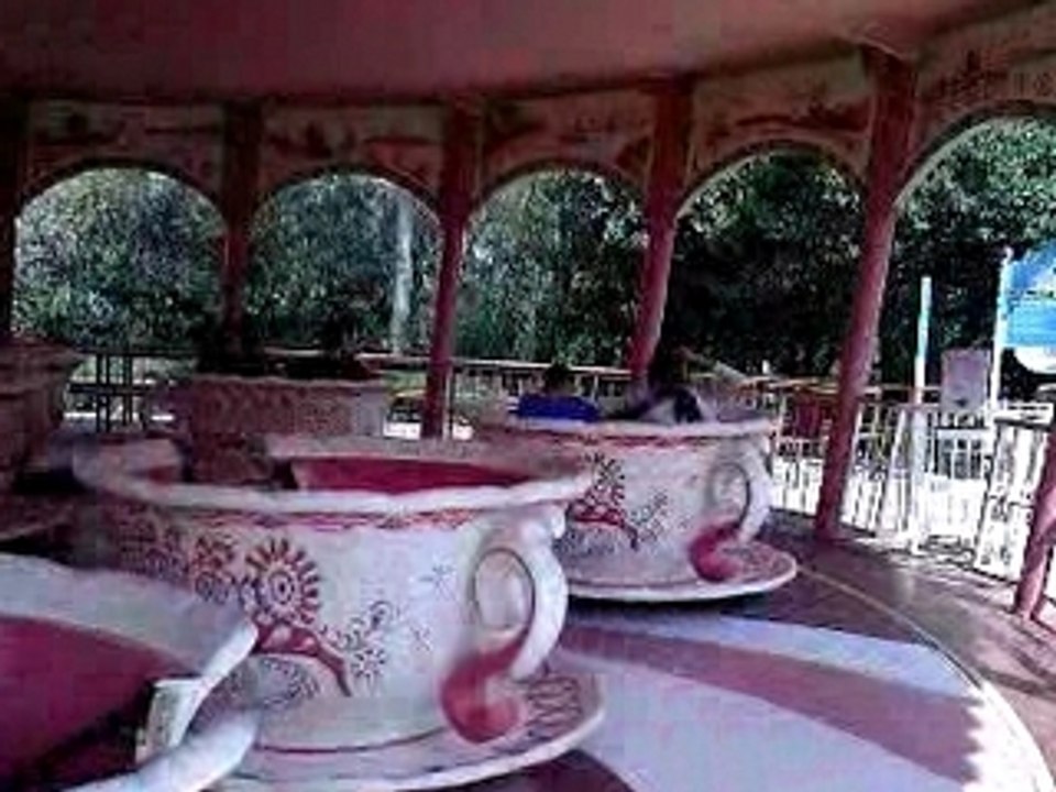 BelleWarde TASSE