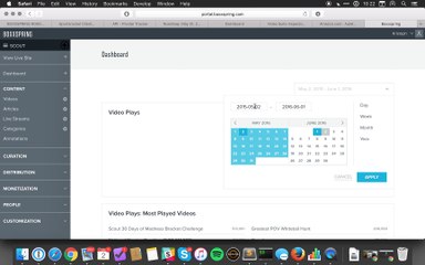 Analytics and Test Bug Report