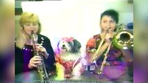 Des chiens qui aiment la musique - Compilation d'animaux hilarants