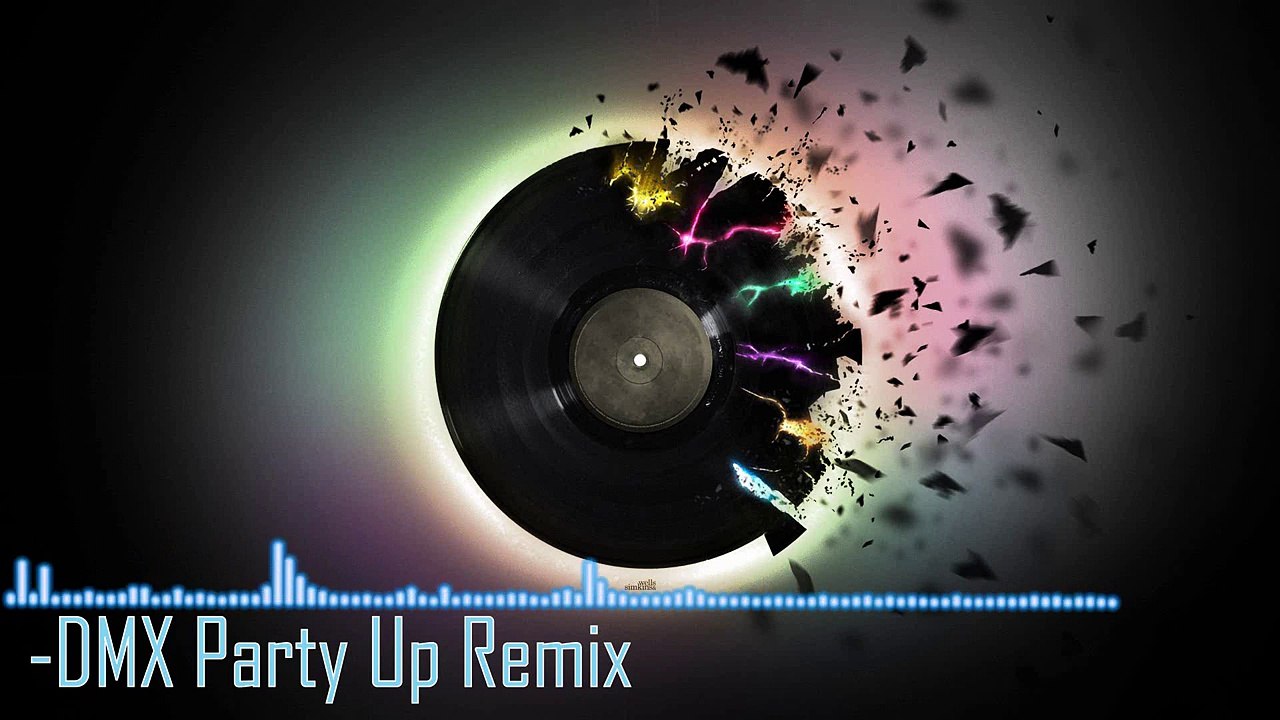 DMX Party Up - Remix