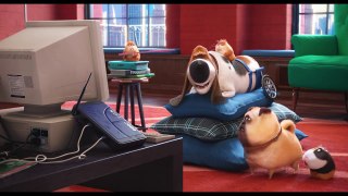THE SECRET LIFE OF PETS Promo Clip - Whats So Funny? (2016) Animated Comedy Movie HD