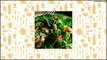 Recipe Spinach Salad with Smokey Peanuts and Tangy Honey Mustard Dressing