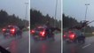 Sur une autoroute de Finlande, un élan est percuté violemment par une voiture