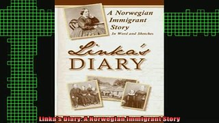 READ book  Linkas Diary A Norwegian Immigrant Story Full Free
