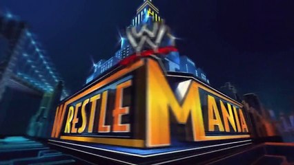 The Undertaker Vs CM Punk WrestleMania 29 Match Card