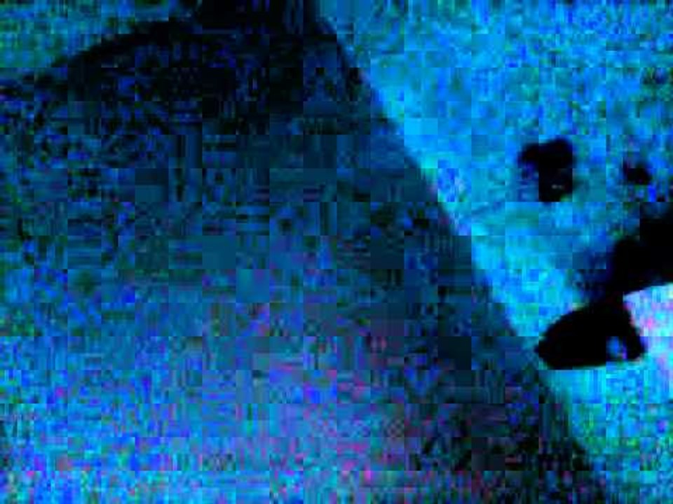 video 2012 08 16 06 21 15
