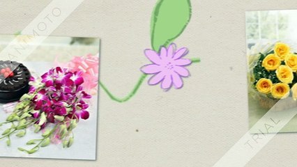 Florist Franchise | Ferns N Petals | Contact Us +91 92124 22000