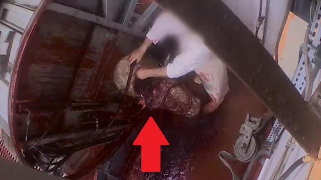 La vidéo la moins drôle de Rémi Gaillard mais elle est à voir !