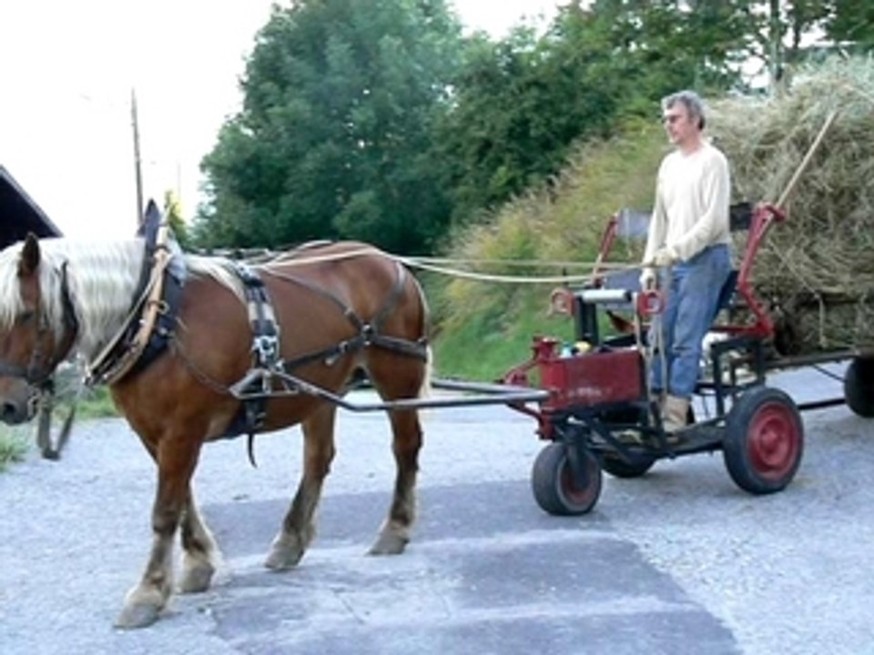 Faire les foins au cheval (Montdenis, Savoie Maurienne) 3