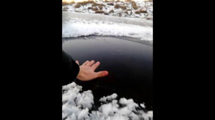 Une créature étrange ou un phénomène naturel : à vous de juger !