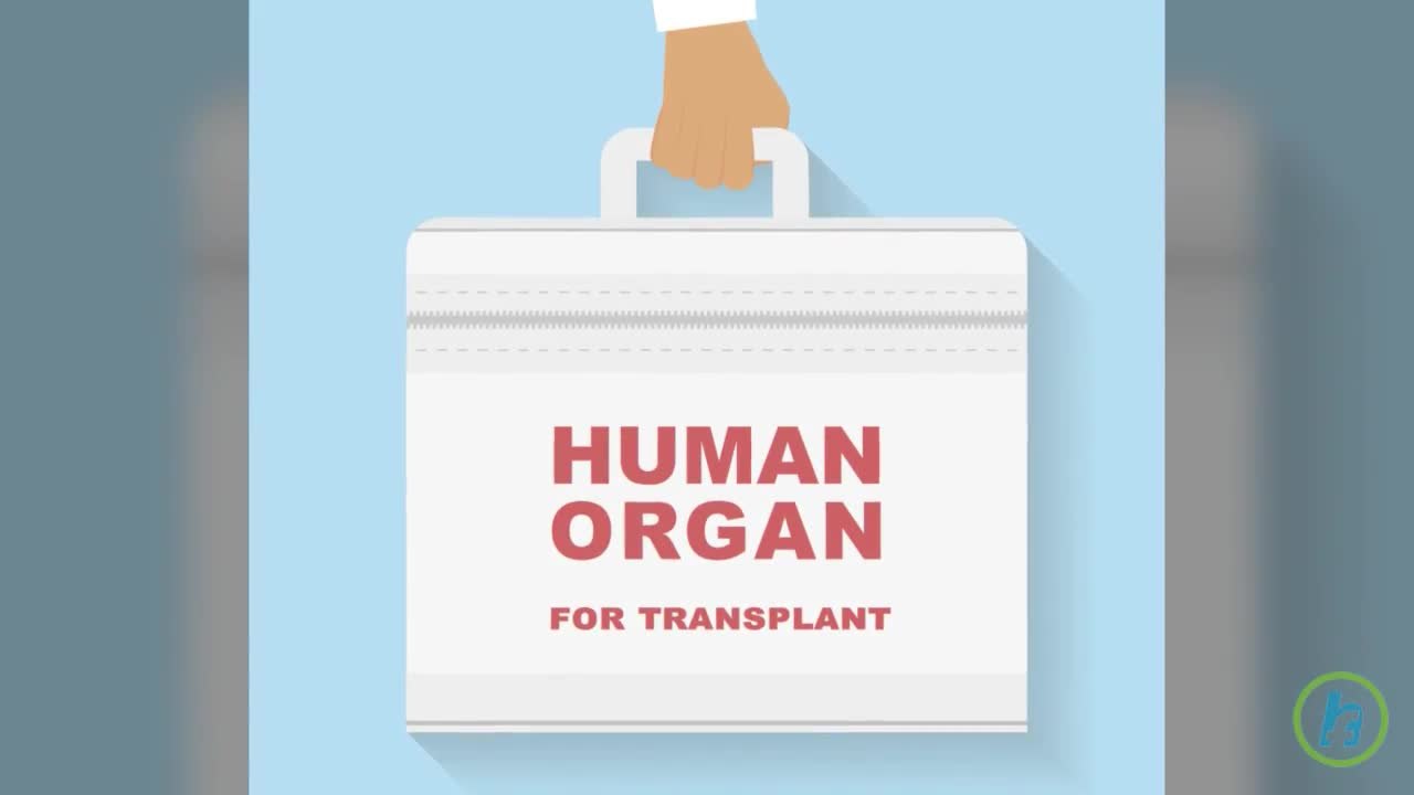 Transplantul de rinichi
