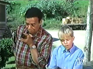 Mayberry RFD - S01E10 - Sam Gets a Ticket