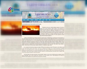 "Bölgede savaş, batıda rant için ormanlar yakılıyor"