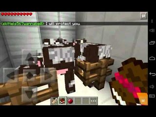 Mcpe: mod review | companion mod (0.9.4)