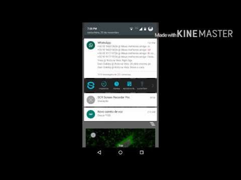 #2 DIVULGANDO CANAIS