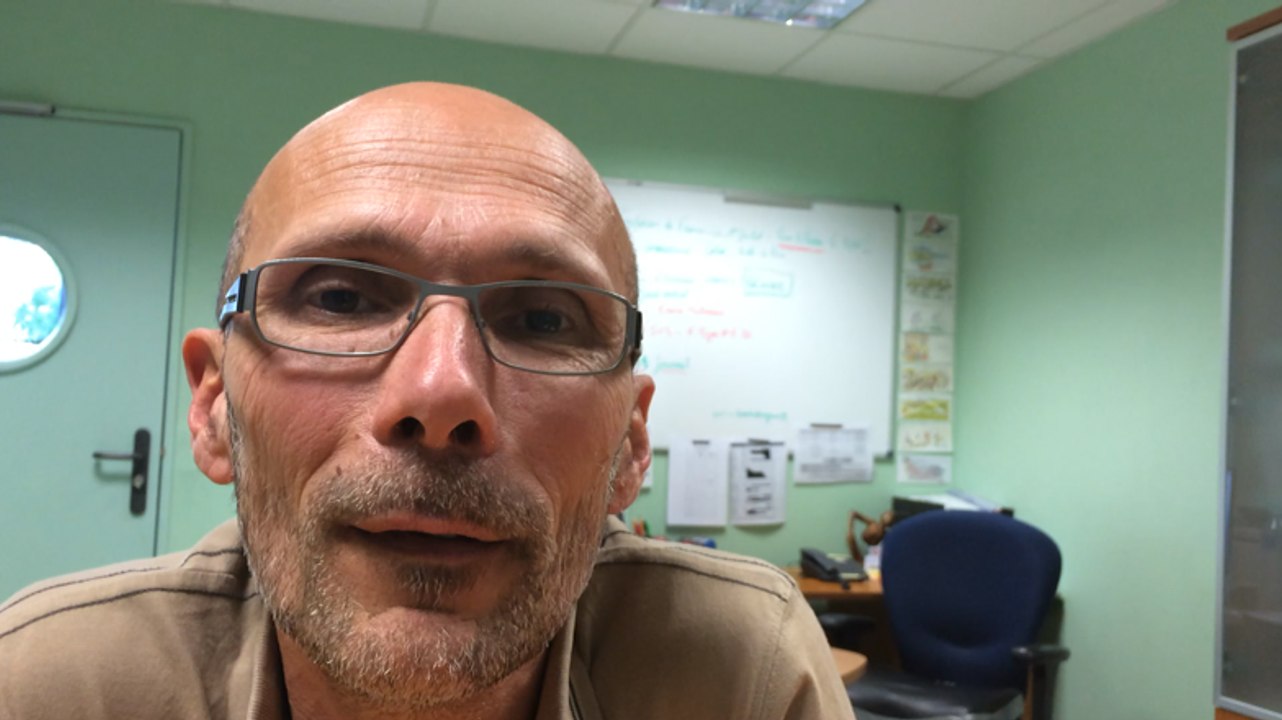 Les invendus alimentaires collectés et livrés