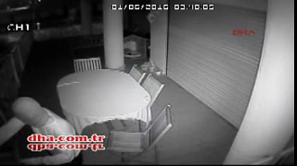 Köpekle karşılaşan hırsız böyle kaçtı